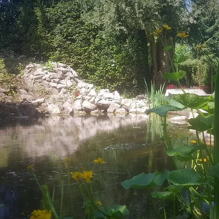 Vacation With Hottub And Sauna * Lunteren