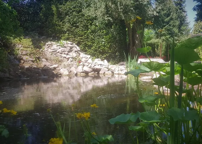 Vacation With Hottub And Sauna * Lunteren